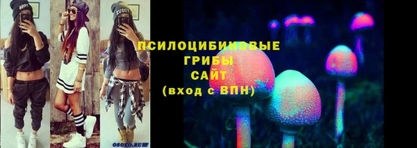 дмт Жердевка