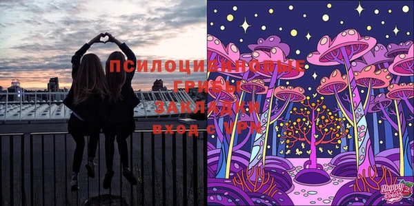 дмт Жердевка
